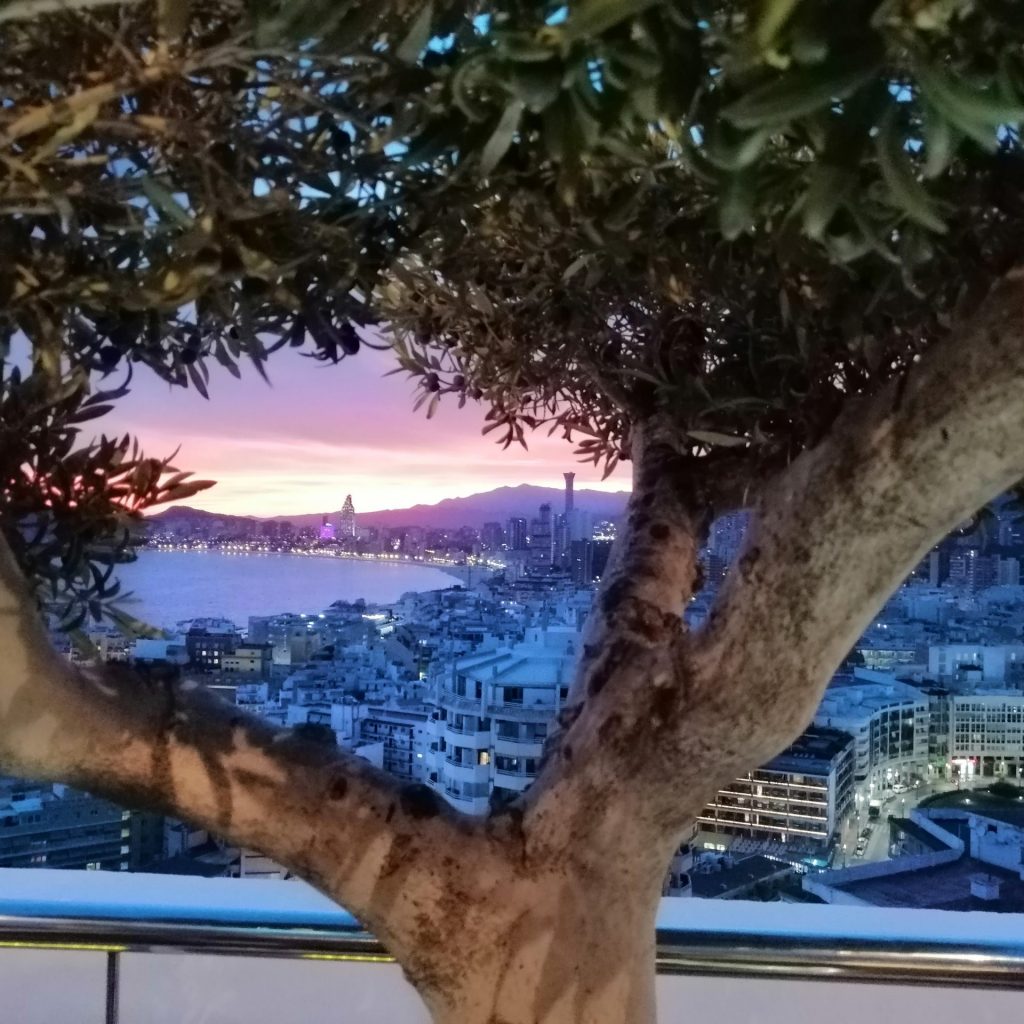 IMG 20191018 193856